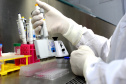 Realização de exame sorológico pelo Tecpar completa um ano, com foco na União Europeia e EUA - Na foto, profissionais do laboratório de sorologia do Tecpar realizam ensaios. O laboratório do Tecpar é credenciado no Centro para Controle e Prevenção de Doenças (CDC), dos EUA, e na agência francesa Anses-Nancy, laboratório de referência da UE 
