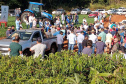Dia de Campo do Projeto Mandioca Renda mostra resultados de cultivares