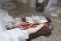 Em ação solidária, Paraná destina 124 bolsas de sangue a Pernambuco