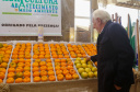 FESTA DA POKAN