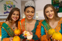 FESTA DA POKAN