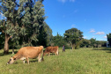 IDR-Paraná participa do maior evento agroecológico do país
