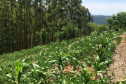 IDR-Paraná participa do maior evento agroecológico do país