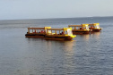 Transporte |Escolar