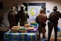 Operação integrada apreende meia tonelada de maconha