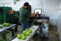 Projetos de transferência de renda para a agricultura familiar serão ampliados no Paraná - 