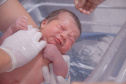 Maternidade do Humai-UEPG realiza média de 1300 atendimentos mensais em obstetrícia