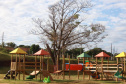 Governo instala colmeias do Poliniza Paraná e inaugura Parque Urbano na Semana do Meio Ambiente 