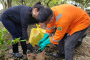 IAT realiza mutirão para coleta de resíduos sólidos em manguezais do Litoral do Estado