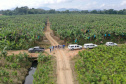 Adapar treina operadores de drones para defesa sanitária vegetal