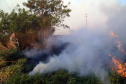 Estado alerta para necessidade de cuidados contra incêndios florestais