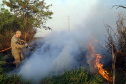 Estado alerta para necessidade de cuidados contra incêndios florestais