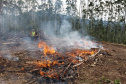 Estado alerta para necessidade de cuidados contra incêndios florestais