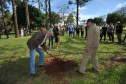 UEL comemora aniversário com plantio da 51ª peroba rosa