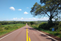 DER/PR está contratando serviço de poda de árvores em rodovias do Oeste e Sudoeste