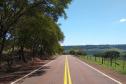 DER/PR está contratando serviço de poda de árvores em rodovias do Oeste e Sudoeste