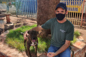  CastraPet Paraná atinge a marca de 138 municípios atendidos em todo o Estado