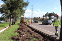 Começam as obras de reforço na segurança e iluminação no Contorno Sul de Curitiba