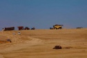 Colheita trigo 