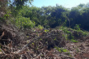 POlícia aMBIENTAL