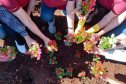 Rios de Cascavel recebem flores e árvores   