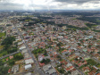 aRAUCÁRIA