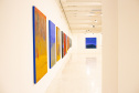 A exposição “Recortes de Um Lugar”, da artista paranaense Mazé Mendes, pode ser vista até domingo (27/11) no Museu Oscar Niemeyer (MON). 