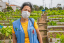 Hortas urbanas sob linhas de energia produzem toneladas de alimentos orgânicos no PR