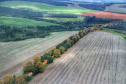 Caderno Regional Agropecuário analisa formação do preço de terras no Paraná