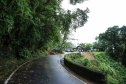 GRACIOSA