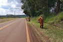 Paraná tem a melhor malha rodoviária da região Sul 
