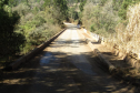 PONTES