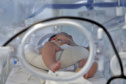 Cuidado materno-infantil garante queda de 82% no número de óbitos maternos no Paraná