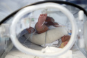 Cuidado materno-infantil garante queda de 82% no número de óbitos maternos no Paraná