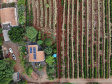Banco do Agricultor ultrapassa R$ 300 milhões em financiamentos de projetos sustentáveis no campo