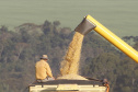 Agricultura divulga primeiras estimativas para a segunda safra 2022/2023 no Paraná