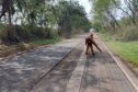 Governo licita R$ 1,68 bilhão em obras e serviços nas rodovias em 2022