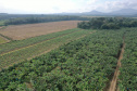 Com foco em inovação, defesa agropecuária do Paraná ganhou impulso nos últimos anos