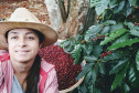 MULHERES DO CAFÉ