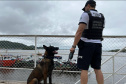 PCPR realiza fiscalização no Litoral com auxílio de cães policiais