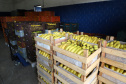 Banco de Alimentos - Comida Boa