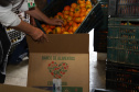 Banco de Alimentos - Comida Boa