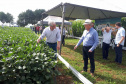  Produshow 2023 reúne tecnologia e novas cultivares em Pitanga