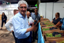 Com participação do Estado, Mariópolis promove a Festa da Uva