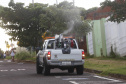 chikungunya