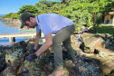 Portos do Paraná comanda mutirão de limpeza de resíduos sólidos na ilha de Eufrasina