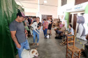 CastraPet Paraná chega a nove cidades em maio