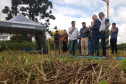 Produção agroecológica ganha impulso com encontro em estação de pesquisa