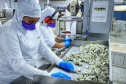 Chocolates colocam Paraná em boa posição em consumo, emprego e renda