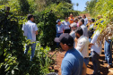 IDR-Paraná incentiva produção de frutas orgânicas em Arapongas